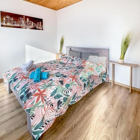 L'Eden Carolo - Netflix, Wi-Fi, 10Min Aeroport, Parking Gratuit Apartman Dampremy Kültér fotó