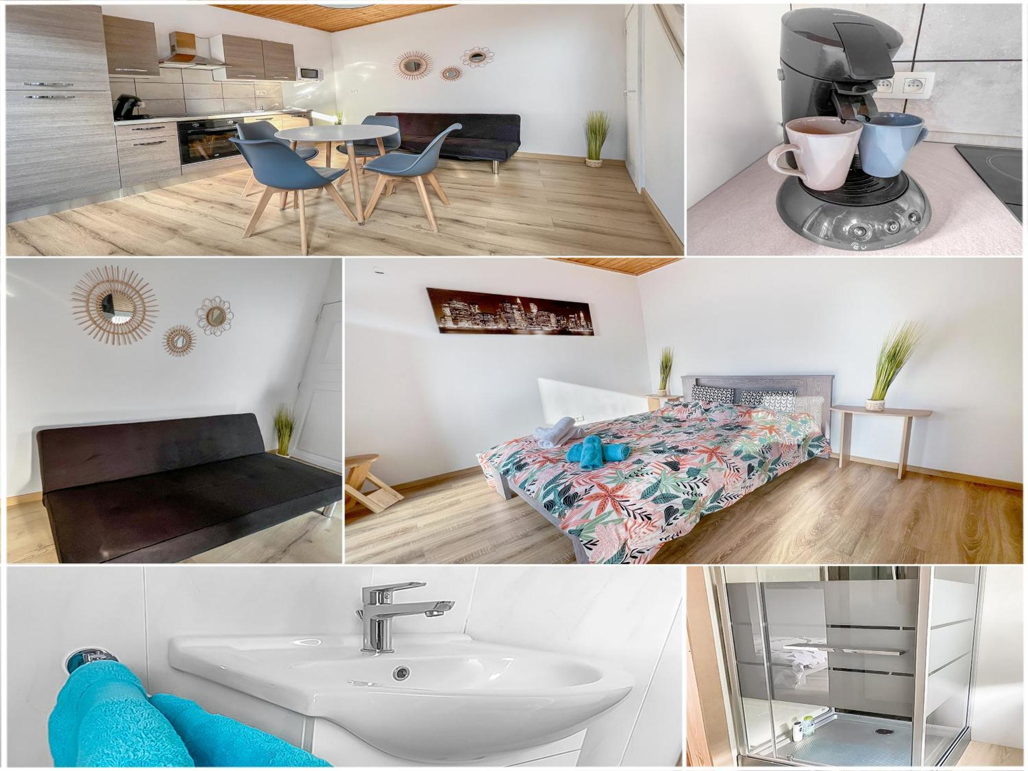 L'Eden Carolo - Netflix, Wi-Fi, 10Min Aeroport, Parking Gratuit Apartman Dampremy Kültér fotó